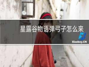 星露谷物语弹弓子怎么来