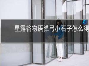 星露谷物语弹弓小石子怎么得