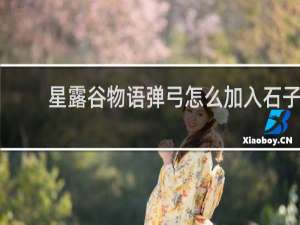 星露谷物语弹弓怎么加入石子