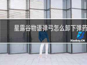 星露谷物语弹弓怎么卸下弹药