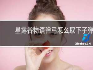 星露谷物语弹弓怎么取下子弹