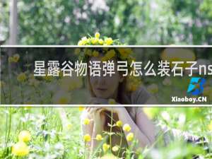 星露谷物语弹弓怎么装石子ns