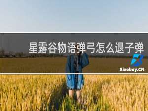 星露谷物语弹弓怎么退子弹