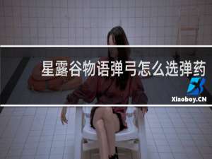 星露谷物语弹弓怎么选弹药