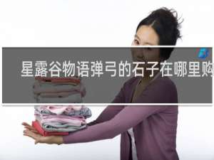 星露谷物语弹弓的石子在哪里购买