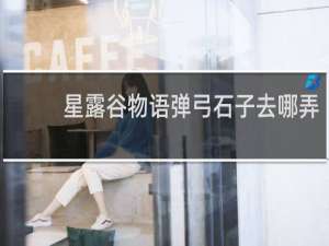 星露谷物语弹弓石子去哪弄