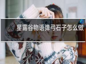 星露谷物语弹弓石子怎么做