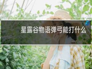 星露谷物语弹弓能打什么