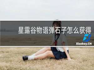 星露谷物语弹石子怎么获得