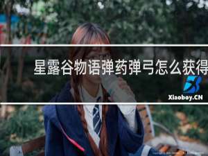 星露谷物语弹药弹弓怎么获得