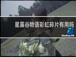 星露谷物语彩虹碎片有用吗