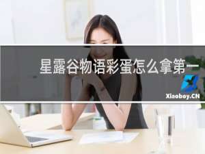 星露谷物语彩蛋怎么拿第一