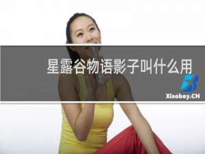 星露谷物语影子叫什么用