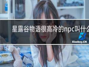 星露谷物语很高冷的npc叫什么