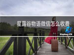 星露谷物语微信怎么收费