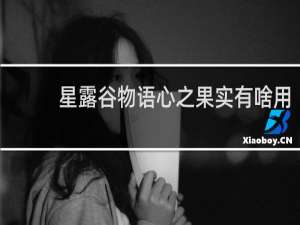 星露谷物语心之果实有啥用