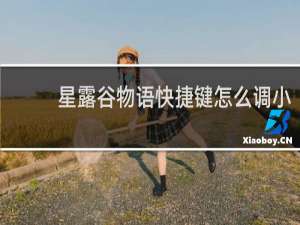 星露谷物语快捷键怎么调小