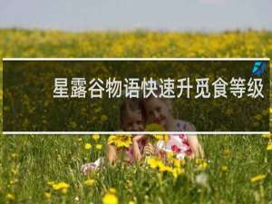 星露谷物语快速升觅食等级