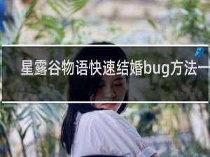 星露谷物语快速结婚bug方法一览