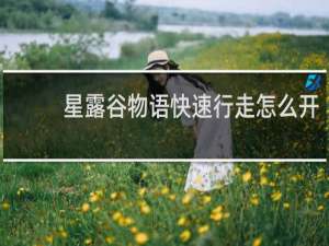 星露谷物语快速行走怎么开