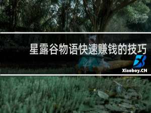 星露谷物语快速赚钱的技巧