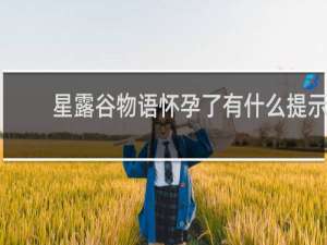 星露谷物语怀孕了有什么提示