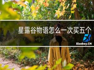 星露谷物语怎么一次买五个