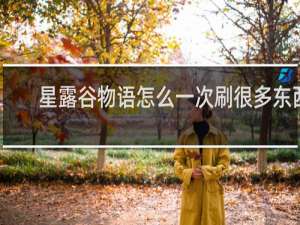 星露谷物语怎么一次刷很多东西