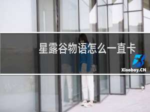 星露谷物语怎么一直卡