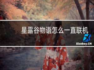 星露谷物语怎么一直联机