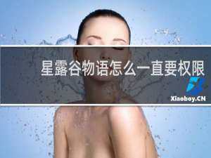 星露谷物语怎么一直要权限