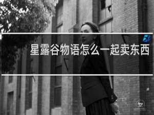 星露谷物语怎么一起卖东西