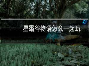 星露谷物语怎么一起玩