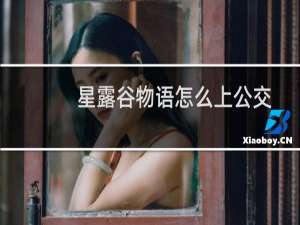 星露谷物语怎么上公交