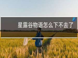 星露谷物语怎么下不去了
