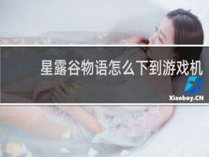 星露谷物语怎么下到游戏机