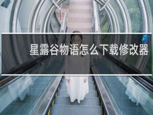 星露谷物语怎么下载修改器