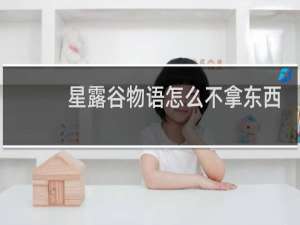 星露谷物语怎么不拿东西