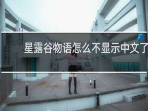 星露谷物语怎么不显示中文了
