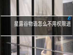 星露谷物语怎么不用权限进