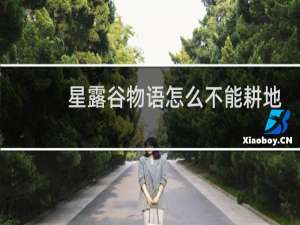 星露谷物语怎么不能耕地