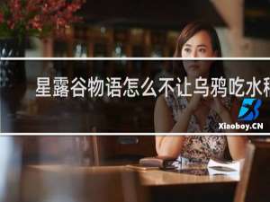 星露谷物语怎么不让乌鸦吃水稻
