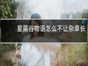 星露谷物语怎么不让杂草长
