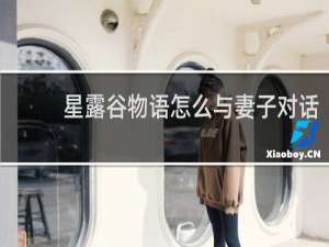 星露谷物语怎么与妻子对话