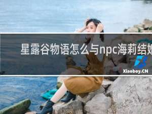 星露谷物语怎么与npc海莉结婚