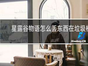 星露谷物语怎么丢东西在垃圾桶