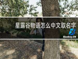 星露谷物语怎么中文取名字