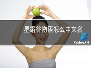 星露谷物语怎么中文名