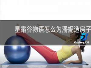 星露谷物语怎么为潘妮造房子