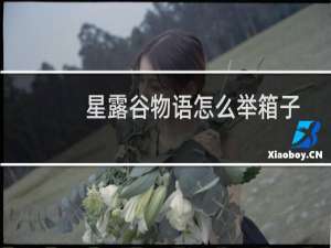 星露谷物语怎么举箱子